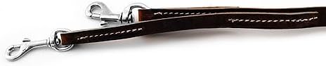 Leerburg's Leather Prong Collar Leash ™ - Brown - 4 ft x 3/4 in - Ručno izrađen Amish w/ hardver od nehrđajućeg čelika