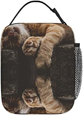 Mačka crvena mačka kućni ljubimac kućna mačka Životinjski svijet velika mekana torba za ručak izolirana torba za ručak kutija za organizatore
