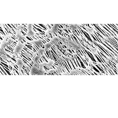Membranski filtar od politetrafluoroetilena od 11806-90 inča, 0,45 mikrona, 90 mm