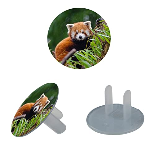 Šumska crvena panda utičnice za divlje životinje 24 pakiranja - Outlet za utičnice za bebe - izdržljivi i postojani - DIJELOVNI PROIZVODNJI