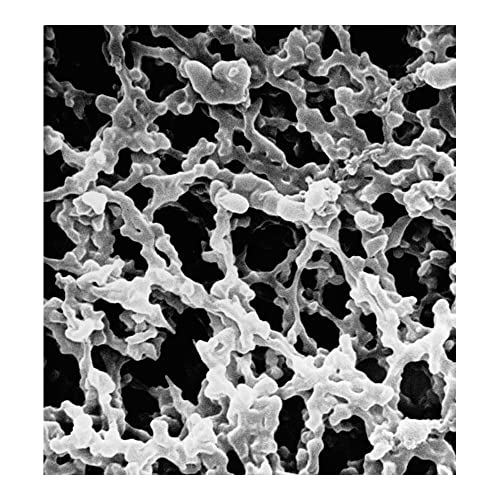 Membranska membrana miješanog celuloznog etera, hidrofilna, veličina pora 0,1 um, Promjer filtra 90 mm, bijela, glatka površina