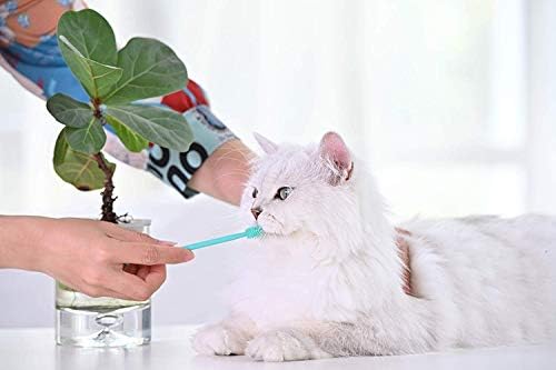 Heartsetpet meka mačka četkica za zube s glavom od 360 stupnjeva | Sigurno, učinkovito i duboko čišćenje zuba kućnih ljubimaca | Odugnite
